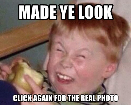 A meme of a red-haired child grimacing with an apple, captioned Made ye look. Click again for the real photo.